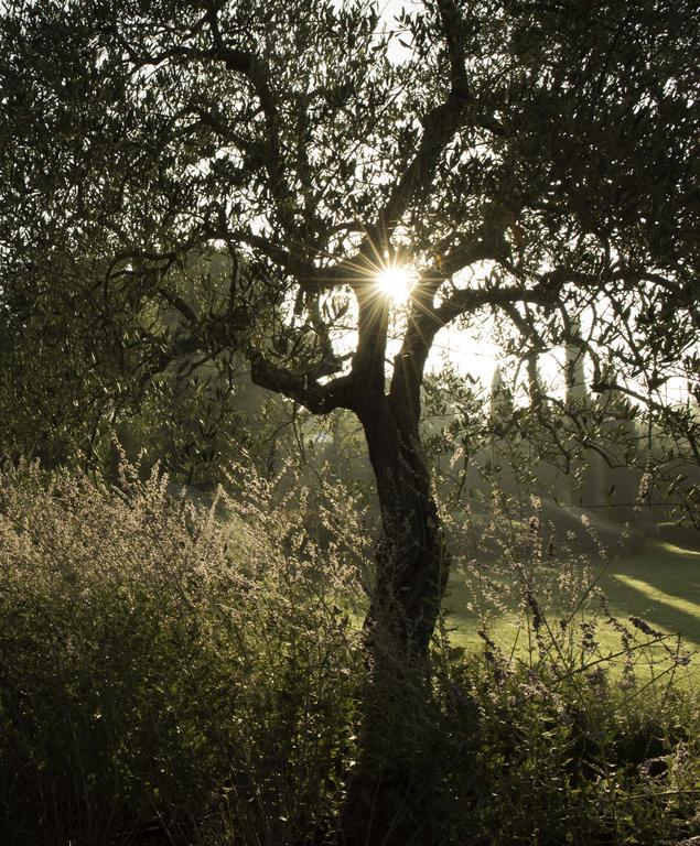 Tenuta Santo Pietro П'єнца Екстер'єр фото
